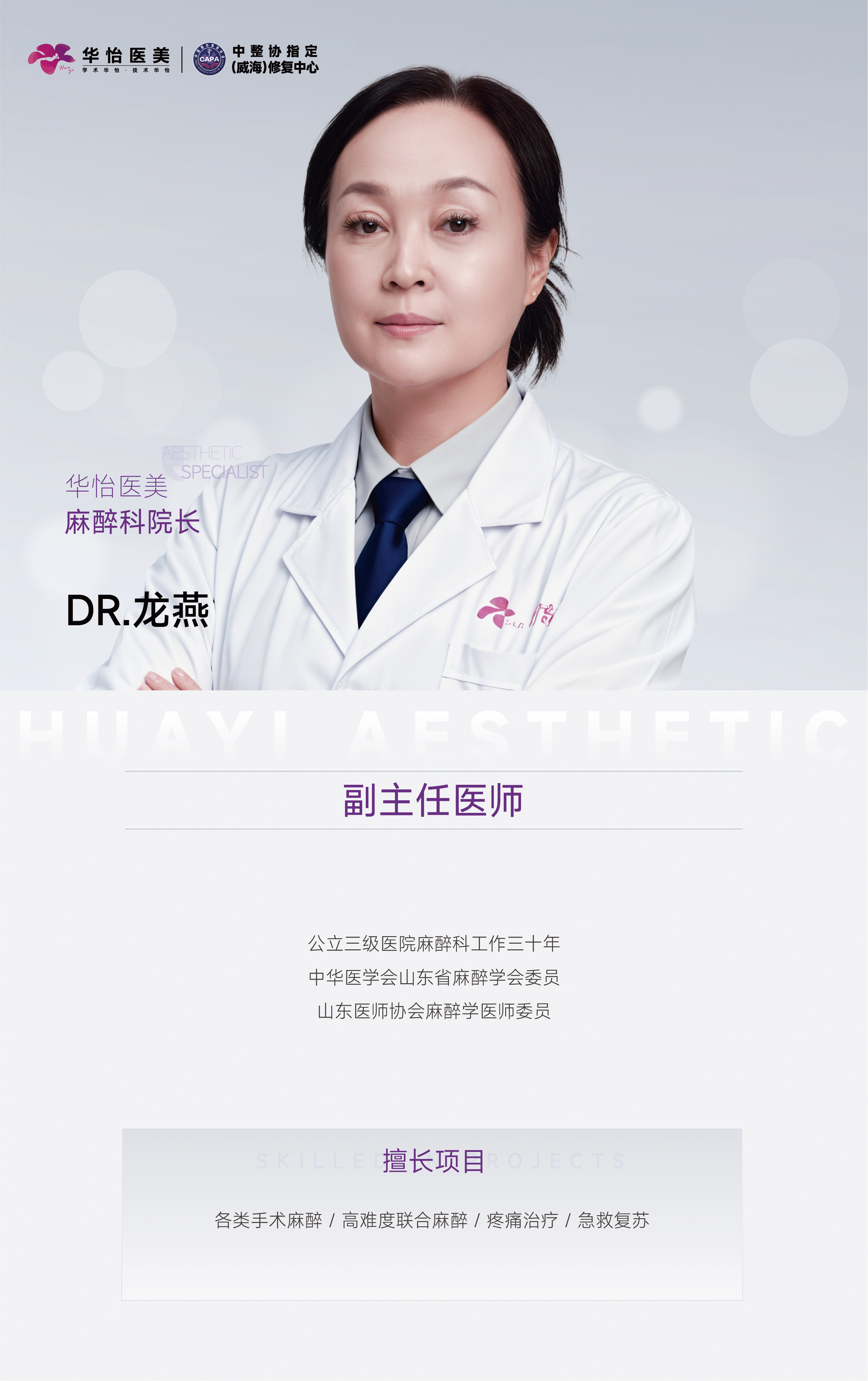 龙燕